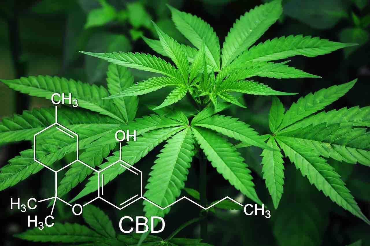 Picture of the molecular structure of CBD
